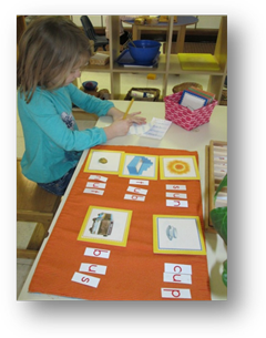 Montessori Elementary in Crystal Lake, Cary